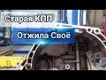 Мишина старая  КПП ОТЖИЛА своё