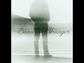 Beautiful Stranger (Lyric)