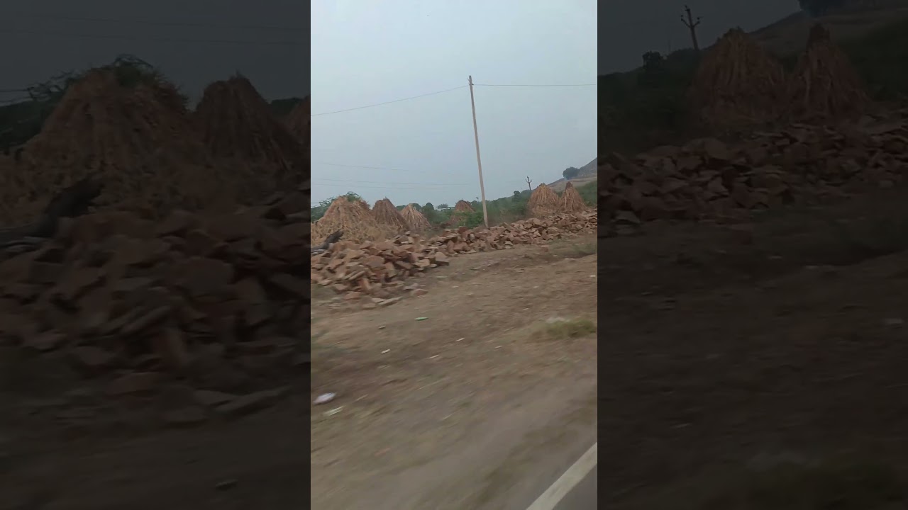 Rajasthan forest area