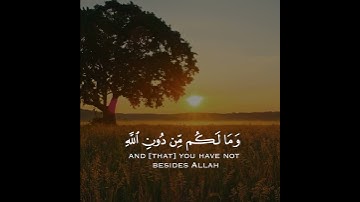 تلاوة هادئة وقصيرة   || القارئ : ياسر الدوسري || سورة : البقرة