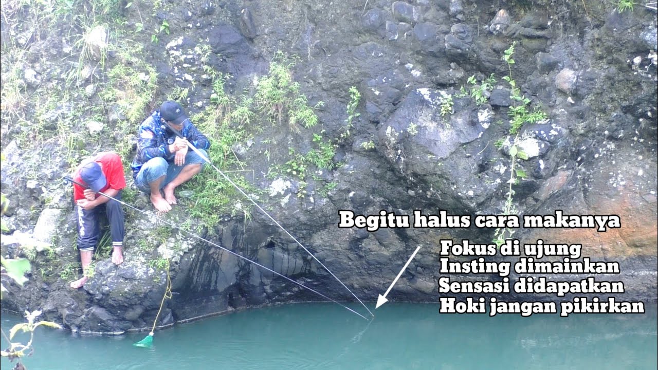 ORA SEPELE‼️CARA MAKAN IKAN NILEM BABON SANGAT HALUS || Nutul Melem