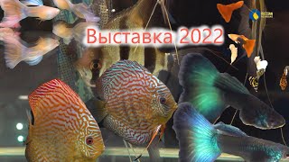 Выставка клуба Русские аквариумы. ТЦ Грант 3-5 Января 2022г. 2 часть