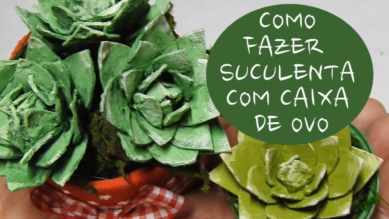Como fazer suculenta com caixa de ovo / DIY egg carton succulent