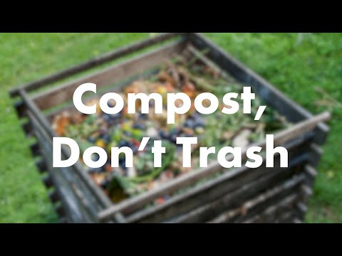 6 compost bins to help you reduce food waste