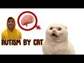 autism explain by Kitty