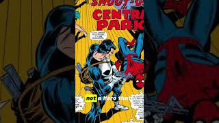 The Punisher Will HUNT Spider-Man In Brand New Day?!