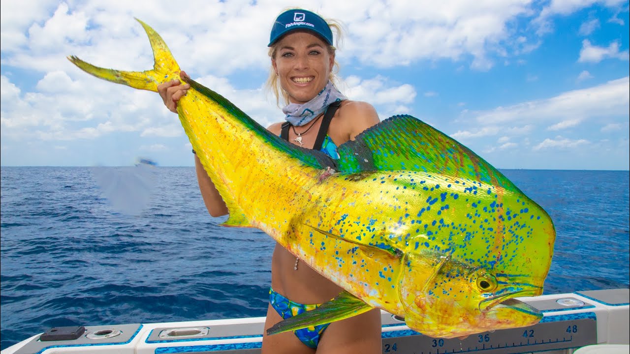 How To Fillet a MAHI MAHI & See What I Found in the BELLY! Dolphin