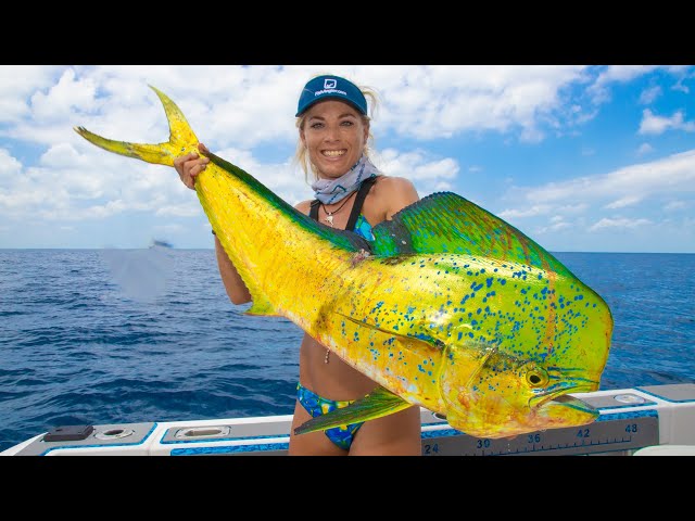 How To Fillet a MAHI MAHI & See What I Found in the BELLY! Dolphin