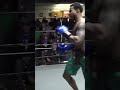BATTERING RAM BOXING STRATEGY STUNS DAVE PORTNOY