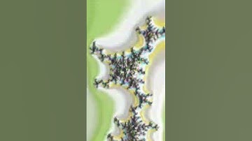 #animation #trippyart #trippy Fractal Dance: Mandelbrot Music Journey.