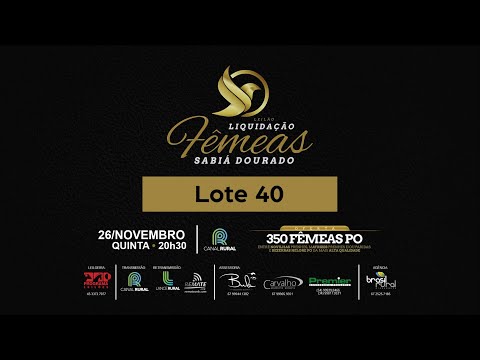 LOTE 40