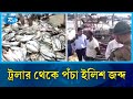 মা ইলিশ সংরক্ষণের নিষেধাজ্ঞা শেষে বাজারে পঁচা ইলিশ | Chandpur | Rtv News