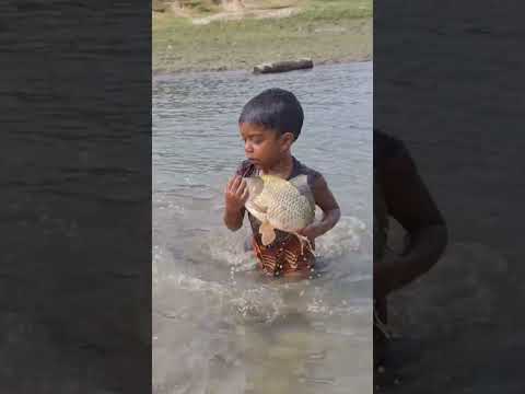 Amazing Boy Catching Fish By Hand #fishing