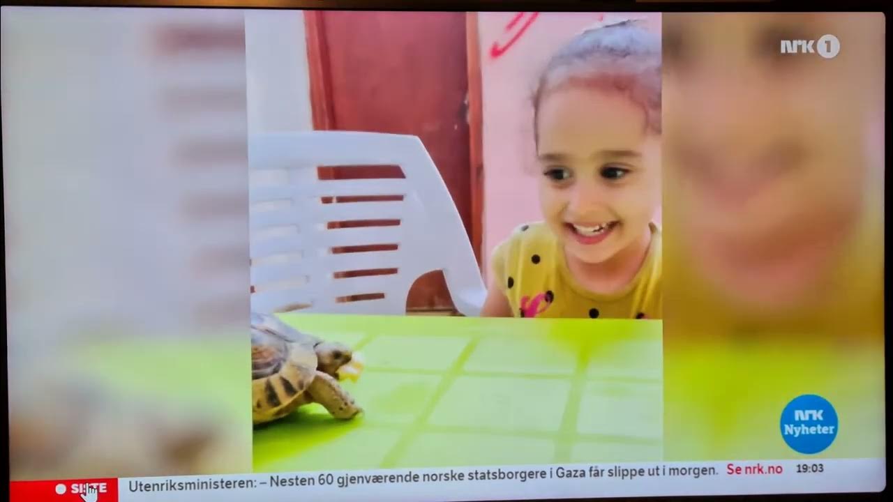 In Gaza - YouTube