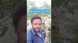                                                                               سمعها