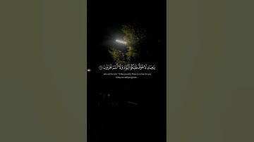 القرآن الكريم | سورة الزخرف - أحمد بن طالب #اكسبلور #راحة_نفسية #لايك