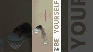 Dunk Shot Game Play screenshot 5