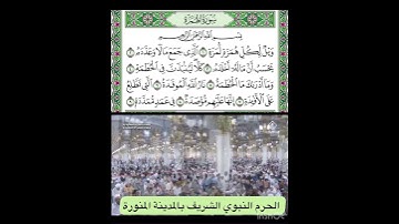 سورة الهمزة قراءة الشيخ عبدالمحسن القاسم