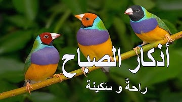 أذكار الصباح | راحة نفسية لا توصف بصوت القارئ علاء عقل | Morning Athkar - Dzkir Pagi