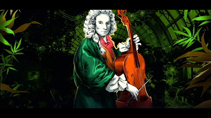 Vivaldi - The Four Seasons (1 hour NO ADS)