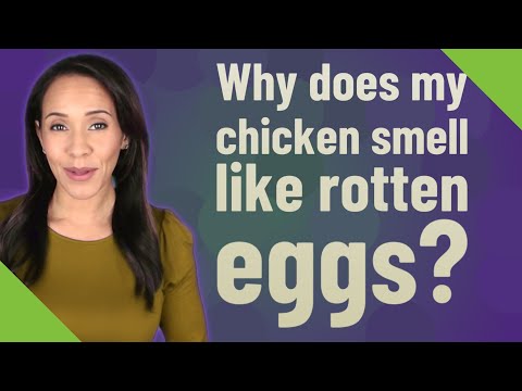 Why does my chicken smell like rotten eggs?