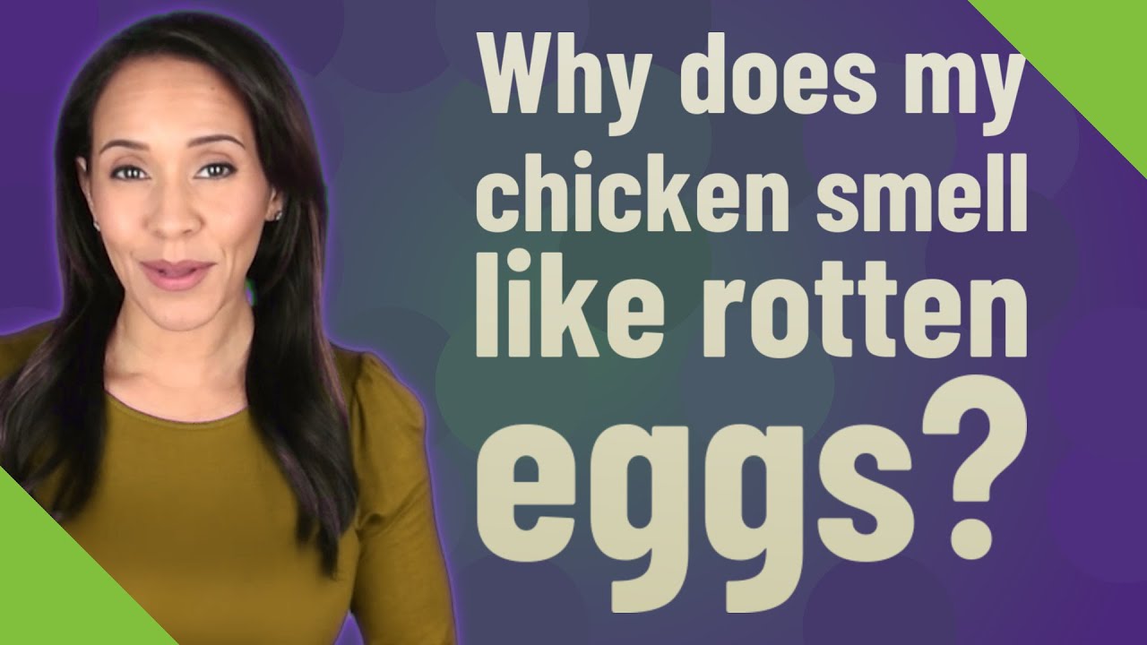 Why does my chicken smell like rotten eggs? YouTube