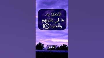سورة الحج الآية ١٩ الى ٢١ بصوت الشيخ محمد صديق المنشاوي
