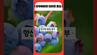 “심장을 지키는 달콤한 과일! 블루베리”“Protect Your Heart: Health Benefits of Blueberries”