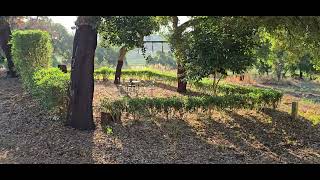 Instalações Do Canil Quinta Do Meirinho José Matos Treinador