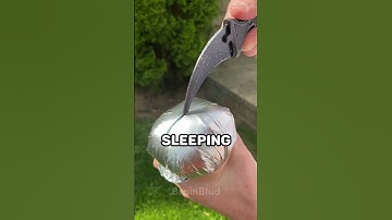 Random Facts You Didn