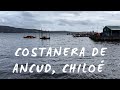 Caminando por el Borde Costero de Ancud, Chiloé 🇨🇱