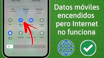 Cómo arreglar datos móviles pero Internet no funciona | Los datos móviles no funcionan