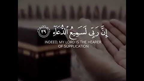 القارئ/طارق محمد