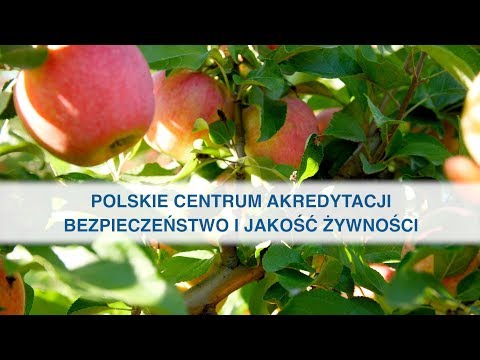 Wideo: Co to jest certyfikacja obsługi żywności?