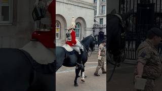Soldier Convinces Horse With Food 🐎 Horse Guards, Royal Guard, Kings Guard, Horse, London, 2024