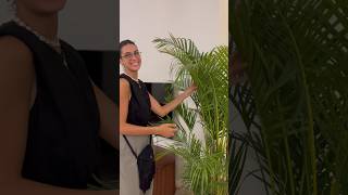 Episode 29 | بيت جديد A New House (Plants & Mirrors)