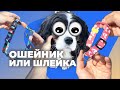 ЛУЧШАЯ АМУНИЦИЯ ДЛЯ ТВОЕЙ СОБАКИ 🐕 Что лучше для щенка, ошейник или шлейка 🐩 На чем не тянет поводок