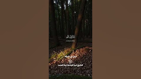 قران كريم ارح قلبك وسمعك #قران_في_دقيقة @قران_في_دقيقة #المصحف #quran #عبدالباسط_عبدالصمد