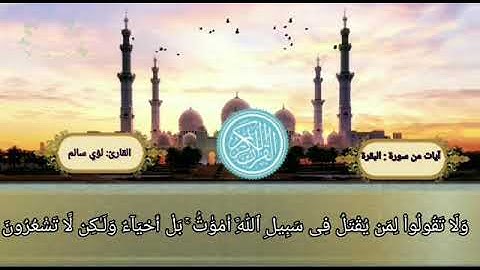 آيات من سورة البقرة بصوت القارئ /لؤي محسن سالم