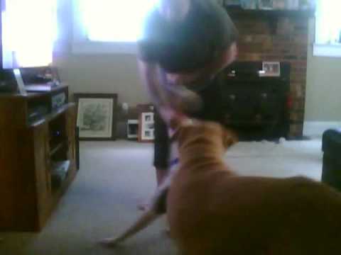 kids anka Shadow.wmv