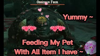 Feeding My Obsidian Frox Pet With All Item I Have The Legend Of Zelda Tears Of The Kingdom