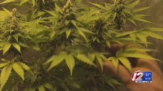 Colorado pot czar: Legal marijuana not a ‘cash windfall’
