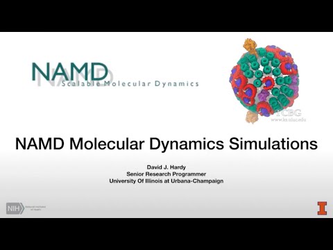 NAMD Molecular Dynamics Simulations (EMEA) - video from Oneapi