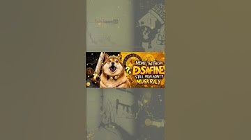 **"How Dogecoin Went from a Meme to a Top 10 Cryptocurrency"**  #dogecoinrise #dogecoinfoundation