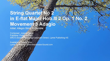 String Quartet No 2 in E flat Major Hob III 2 Op  1 No  2 Movement 3 Adagio