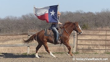 Checks Yo Self - carrying the flag! - ValleyViewRanch.net