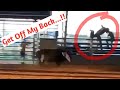 Funny Bull Riding Fails🤣 / Wrecks Compilation