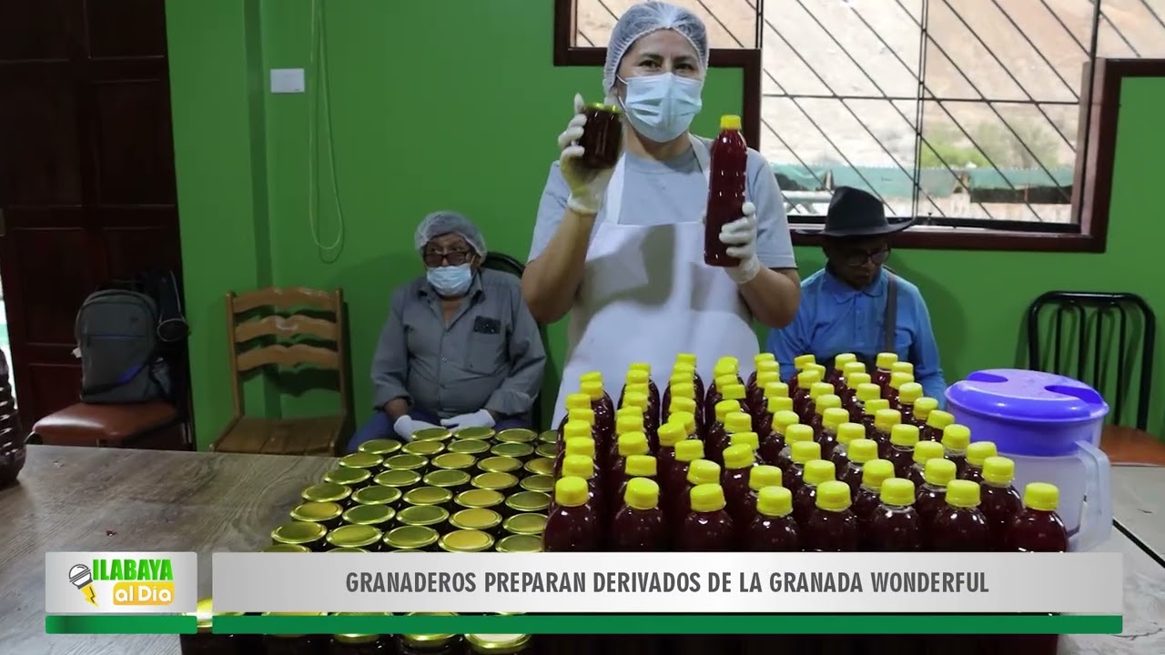 ILABAYA AL DÍA | GRANADEROS PREPARAN DERIVADOS DE LA GRANADA WONDERFUL EN POQUERA Y CHULIBAYA
