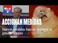 Gobernador de Texas da a conocer las medidas que implementará por la amenaza del gusano barrenador