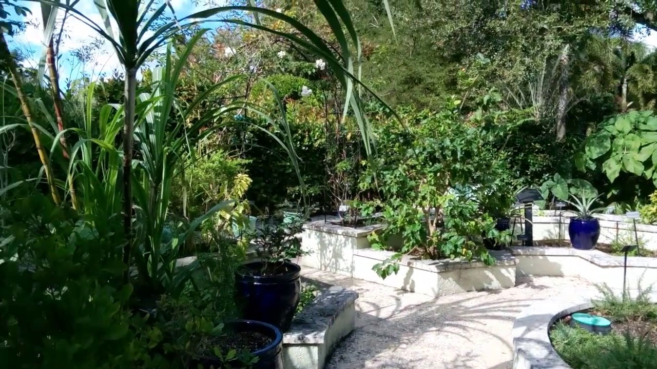 West Palm Beach, FL Nursery Garden27 YouTube